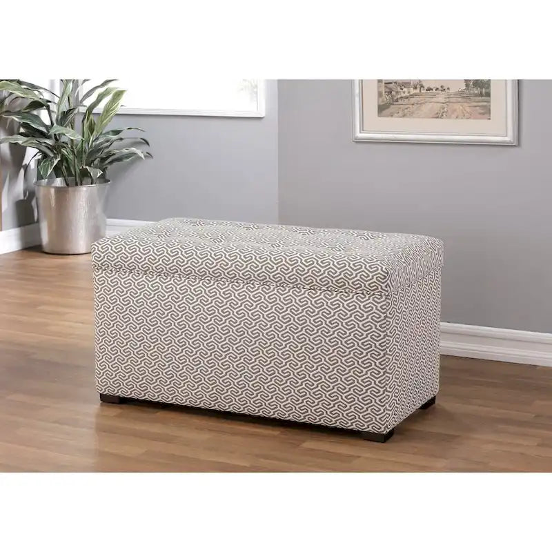 Angela Transitional Living Room Storage Trunk Bench