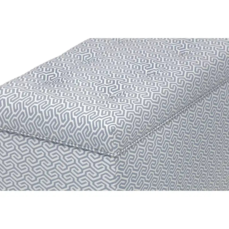 Angela Transitional Living Room Storage Trunk Bench