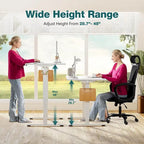 Electric Height Adjustable Standing Desk with Memory Settings, Wiring Holes, 176 lb Capacity