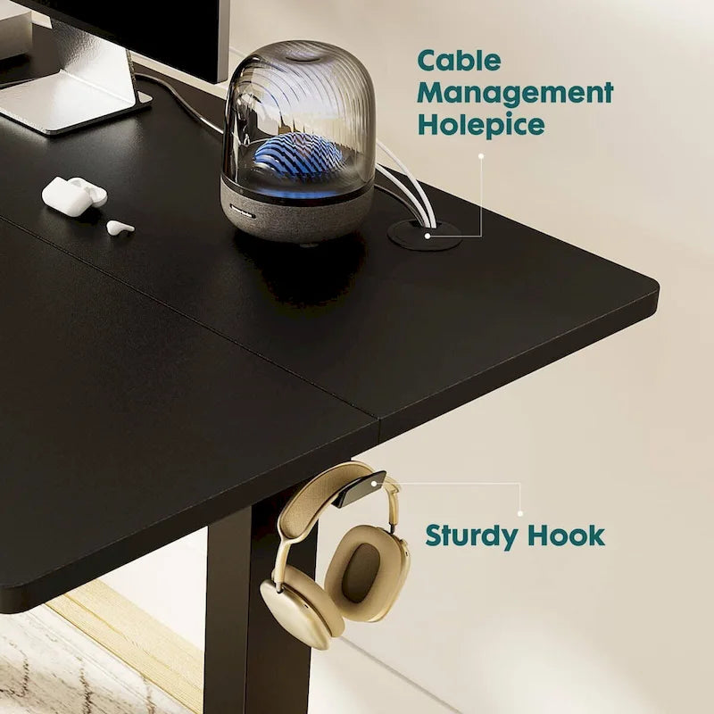 Electric Height Adjustable Standing Desk with Memory Settings, Wiring Holes, 176 lb Capacity