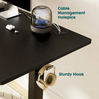 Electric Height Adjustable Standing Desk with Memory Settings, Wiring Holes, 176 lb Capacity